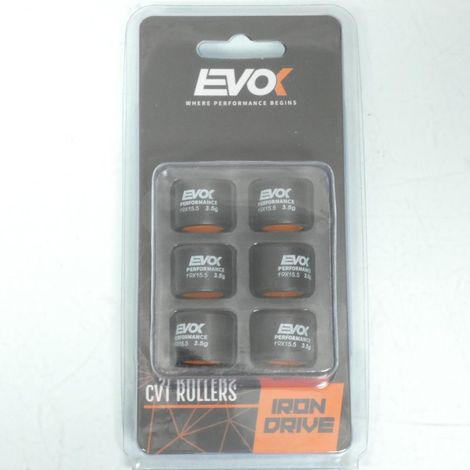 Variomatik-Rolle EVOK für Roller Piaggio 50 ZIP 2T AC 2009 bis (1/5)