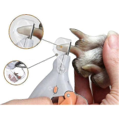 Coupe-ongles professionnel pour chats et chiens avec lampe LED et loupe intégrée pour éviter que les animaux ne se coupent les ongles. (1/5)