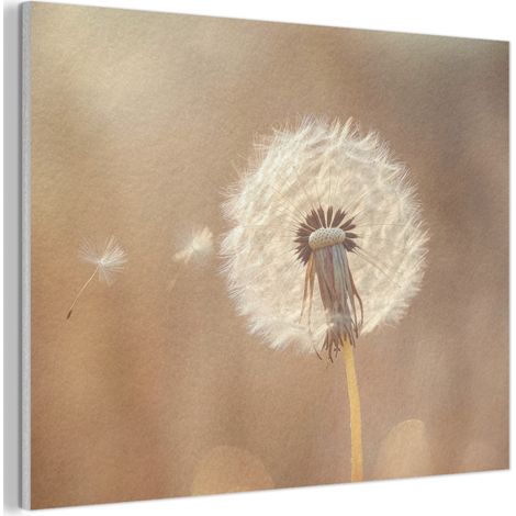 TABLEAU ACOUSTIQUE Pissenlit - Beige - Nature - Fleur Décoration Murale Feutre 100x70 cm (1/5)