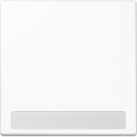 Jung Wippe Schriftfeld aws für Taster LS 990 NA WW (1/3)