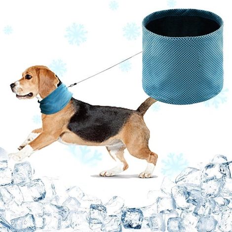 Bandana rinfrescante per cani - Blu - Bandana rinfrescante - Collare per cani - Cane - Gatto Estate (Blu - L) (1/5)