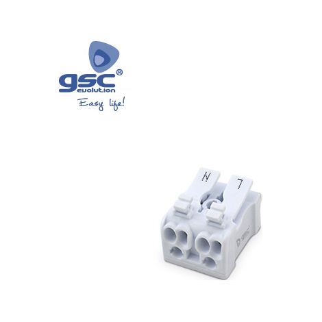 Pack 5 Anschlussklemme 2 Pole 0,5-2,5 mm GSC 001105524