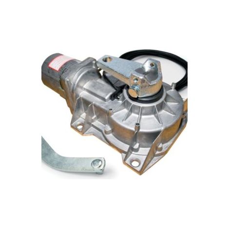 CAME Frog A24E 24V Gate Motor