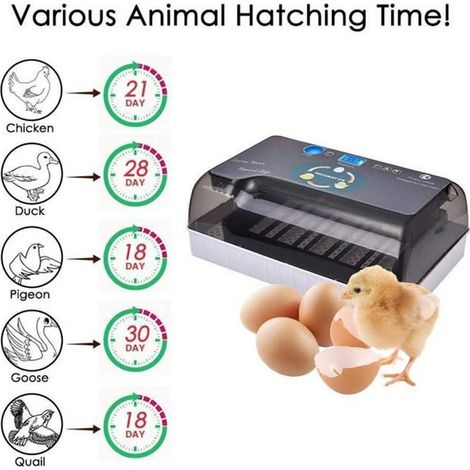 Incubateur d'œufs - YANGBAGA - Modèle avec éclairage dirigé - Rotation automatique - 12 œufs max (1/4)