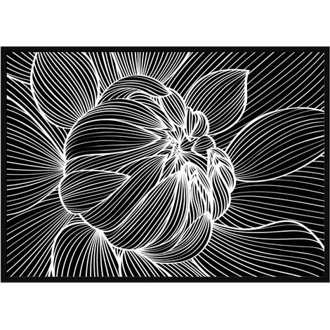 AFFICHE PHOTO ENCADRÉE 53x73 cm Fleur P1059