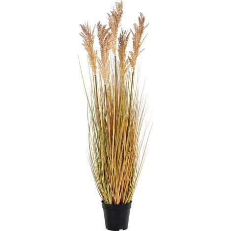 CERIA - Sorgho Décoratif Artificiel Hauteur 110cm (1/5)