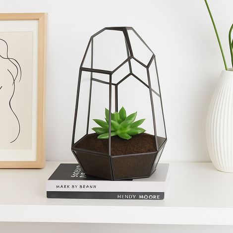 Terrario geometrico in vetro per piante grasse 25 cm