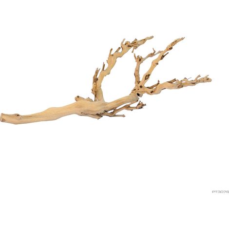 Ramas de vid Exo Terra Forest Branch