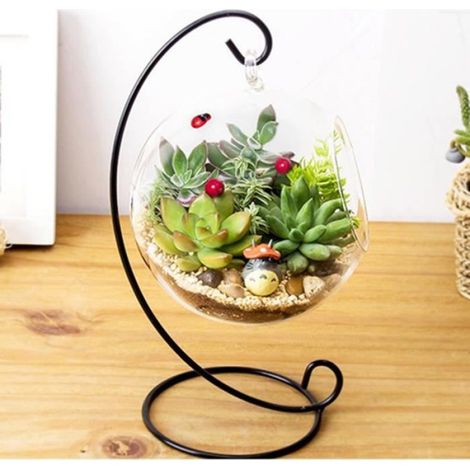 Vase en verre suspendu - Marque inconnue - Boule terrarium cadre plantes aériennes - Verre borosilicate - Noir (1/4)