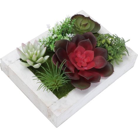 Cadre Photo Créatif en Bois Plante Succulente Artificielle, Décoration Murale Réaliste en Plastique, pour Salle à Manger ou Mariage (1/5)