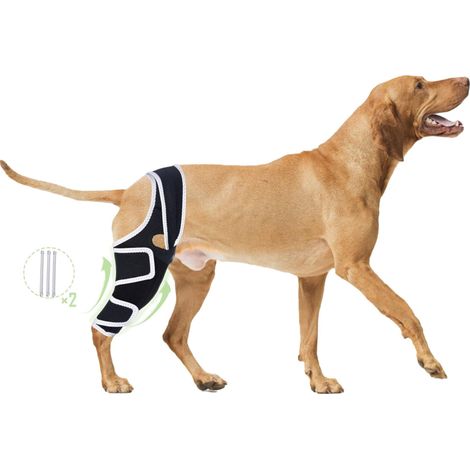 Protège-hanches pour chien, respirant, durable et ajustable, taille S, noir. (1/5)