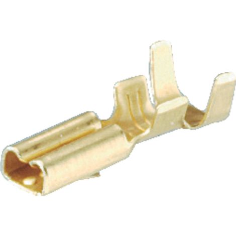Cosse clip 2.8 mm x 0.8 mm Schlegel FH2,8 180 ° non isolé métal 1 pc(s)