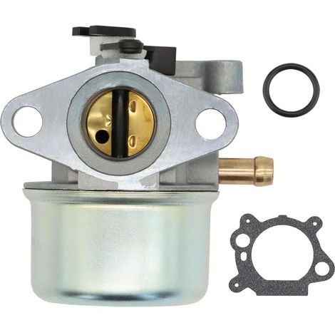 Carburateur pour Tondeuse - Compatible 799866, 794304, 796707, 790845, 799871 (1/5)