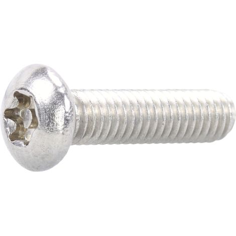 Reidl Sicherheitsschrauben, Halbrundkopf (PIN-Torx) M 8 x 80, A2 blank (1/3)