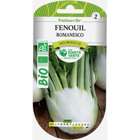 Graine fenouil romanesco BIO Les Doigts Verts