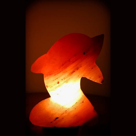 Lampada di Sale Himalayano Rosa naturale a forma di Delfino 3Kg