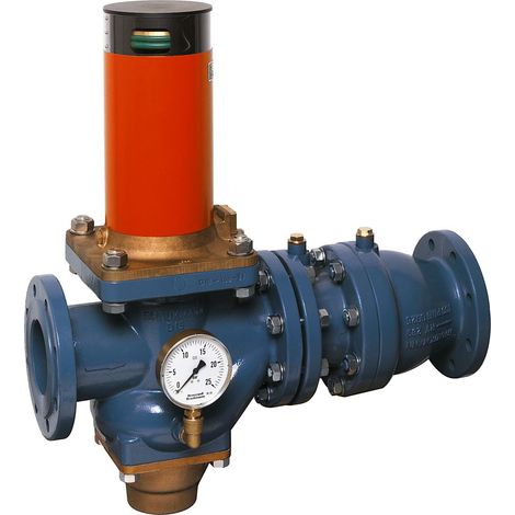 Séparateur de tuyauterie R295P-F EA1 bride GG plvb FA DN 100