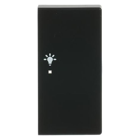 Busch-Jaeger Tasto 2 scomparti destro, con simbolo "Luce" simbolo "Luce" 2 scomparti nero opaco - Piattaforma 63 (6231-22-885), 2CKA006220A0509