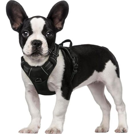 Anti-Pull Dog Harness, Adjustable Reflective Harness with Front Attachment, Harness for Medium Dogs, Size S