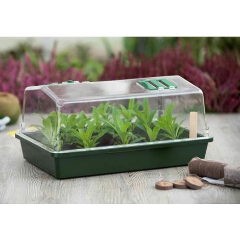 Mini serre terrine et couvercle ventile 37x24x18 xm