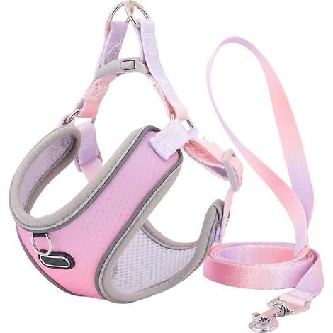 Harnais et laisse anti-fugue pour chat, harnais en maille réglable pour chien, laisse pour chiot et animal de compagnie (B), S (1/5)