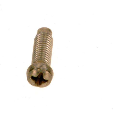 BOSCH Vite (10x), 87034010510