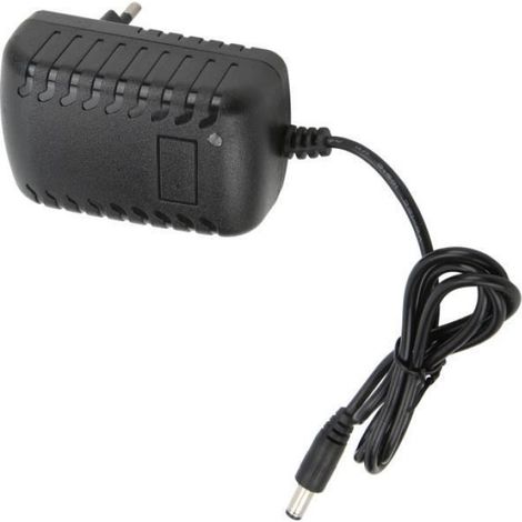 Adaptateur Secteur - Alimentation 24 V CC - Sortie 24 V 2 A - Entrée 100-240 V CA 50/60 Hz - Prise UE - Isolation Renforcée - Pour Équipements Électroniques - 1 Pièce (1/4)