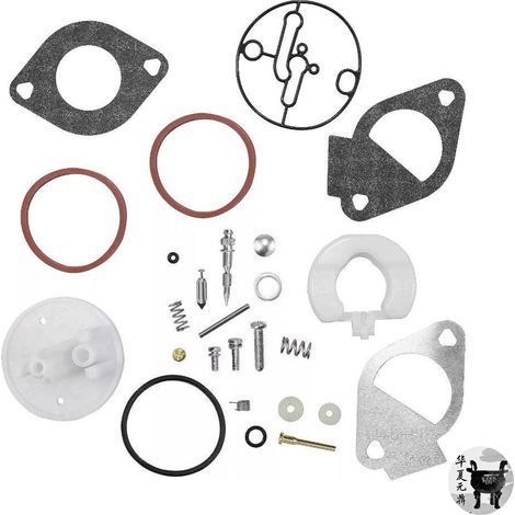 Briggs-Vergaser-Reparatursatz 796184 698787 699900 792369 790032 (1/5)
