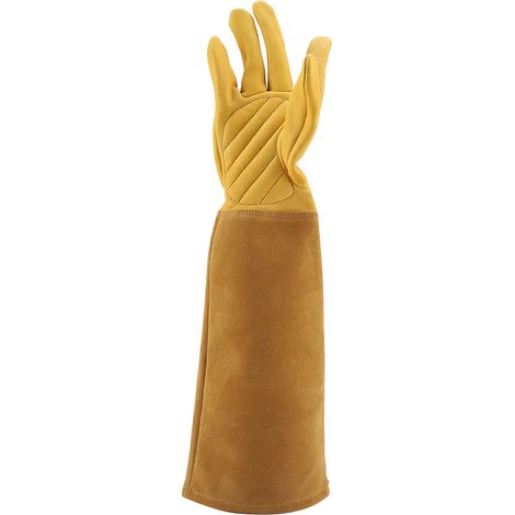 Gants de jardinage en cuir pour la taille des rosiers, résistants à l'usure et aux perforations, gants de travail longs (Jaune S) (1/5)