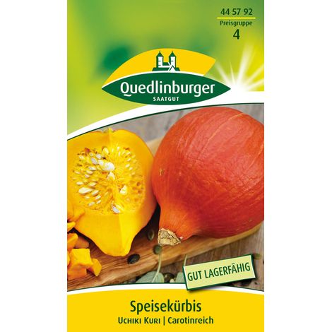 Quedlinburger Saatgut – Courge Uchiki Kuri – Graines de légumes, potimarron rouge, fruits d'env. 1,5 kg, pour env. 5 plants (1/2)