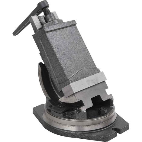Étau inclinable à 2 axes 160 mm (1/5)