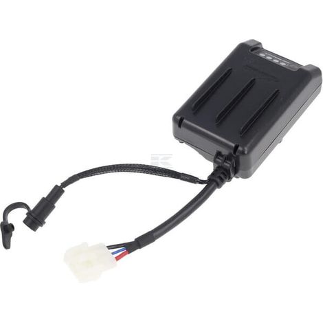 Batterie BRIGGS & STRATTON 84004958 (1/3)