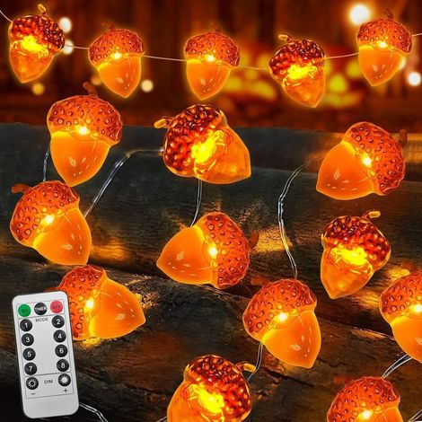 Guirlande Lumineuse Gland D'automne, 3M 30 LED Guirlande Lumineuse d'Automne,Boîtier à piles étanche 3AA, 8 fonctions, avec télécommande (1/5)