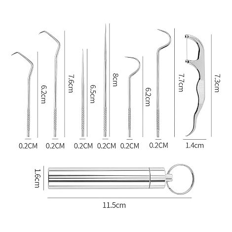 cure-dents en acier inoxydable - Kit de nettoyage des dents - Boîte à cure-dents - Porte-clés portable - Pour l'extérieur, les pique-niques et le camping (1/4)