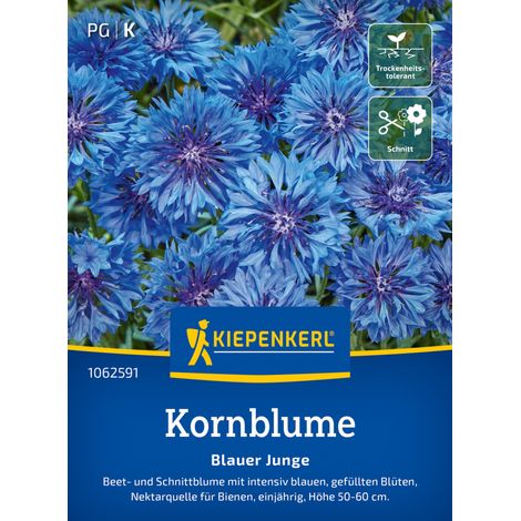 Kiepenkerl Blumensamen Kornblume Blauer Junge für ca. 80 Pflanzen