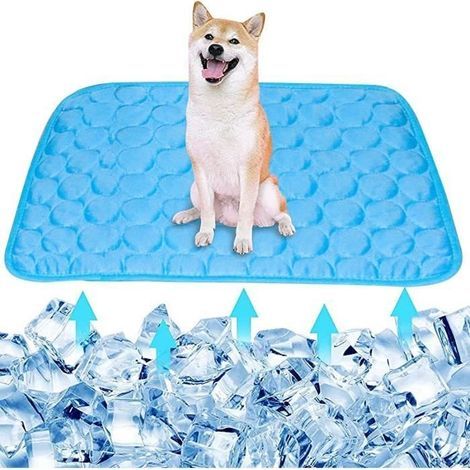 Kühlmatte – Nicht spezifiziert – 50 x 40 cm – Atmungsaktiv – Wasserdicht – Faltbar (1/4)