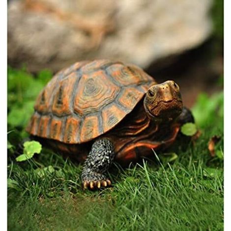 Statue Tortue en Résine pour Jardin, Décoration Extérieure et Intérieure, Ornements Bonsaï, Mignonne, Brun, Idéal pour Étang et Jardin
