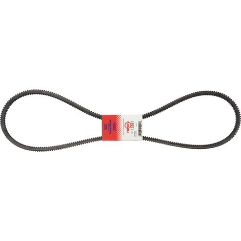 Cinghia trapezoidale 5/8" x 66 1/2", 15,9 x 1689, Tipo C (1/3)