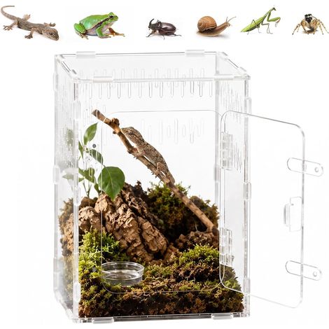 Terrarium Acrylique Transparent 30x20x15 cm Vivarium 360° Ventilation Croisée pour Araignées Sauteuses, Tarentules, Escargots, Rainettes, Serpents et Insectes (1/5)