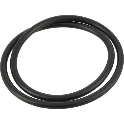 Joint de couvercle 170,8x5,66 pour filtre à sable aplister, corona, millenium 4404080101 - equipement de piscine divers (1/5)