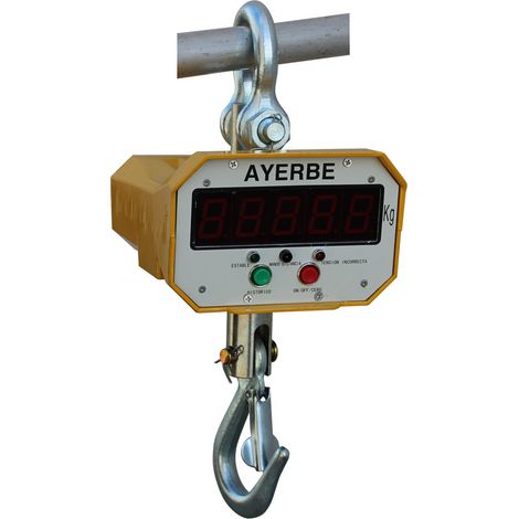 AYERBE - 583800 - Crochet de pesage 1 tonne