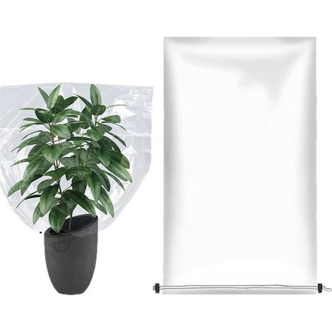 Grande housse de protection hivernale transparente 120x180cm en PE, couverture anti-gel pour serres jeunes arbres et grands plants (1/5)