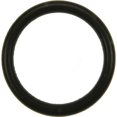 Joint etancheite bouchon d'origine (63634680) Nettoyeur vapeur KARCHER (1/2)