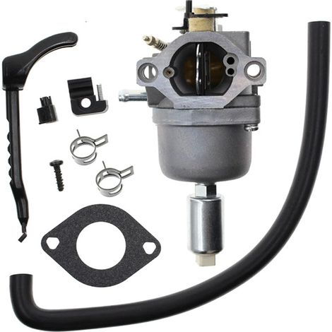 799727 Carburetor 698620 690194 791886 799727 496796 499153 695412 (1/4)