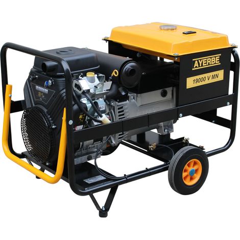 AYERBE - 5418030 - Generador 19000 V MN - Monofásico con Arranque Eléctrico Motor Vanguard (1/5)