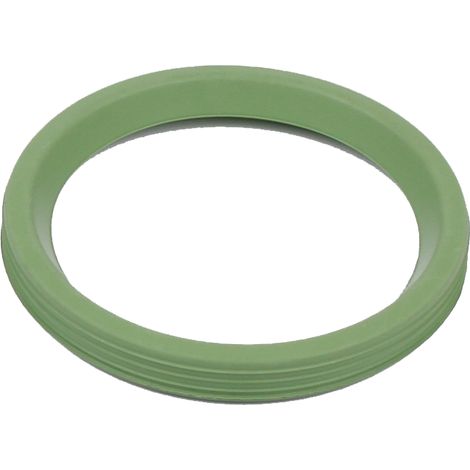 BLÜCHER EuroPipe Dichtung FPM DN 40