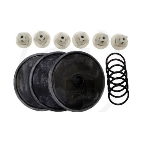Reparatursatz für Membranpumpe BP 75 ANNOVI 6705026032300