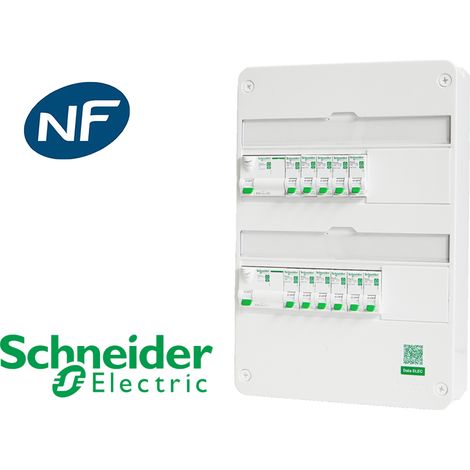 Tableau précâblé 10 disj + 2 ID Schneider Resi9 XP à vis