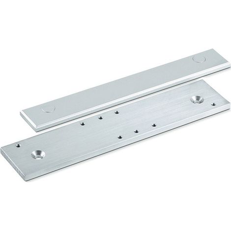 Plaque de montage / contre-plaque pour TS 5000 argenté 9016 GEZE