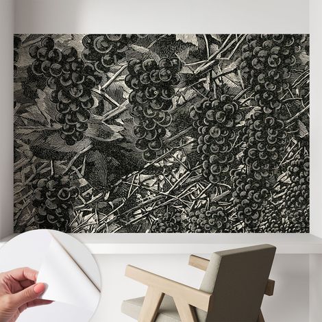 Papier peint autocollant avec imprimé décoratif pour salon et chambre à coucher Installation facile Imprimé raisin 104x70 cm (1/5)